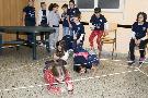 2017 Festa Ciao 10